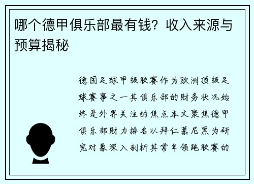 哪个德甲俱乐部最有钱？收入来源与预算揭秘