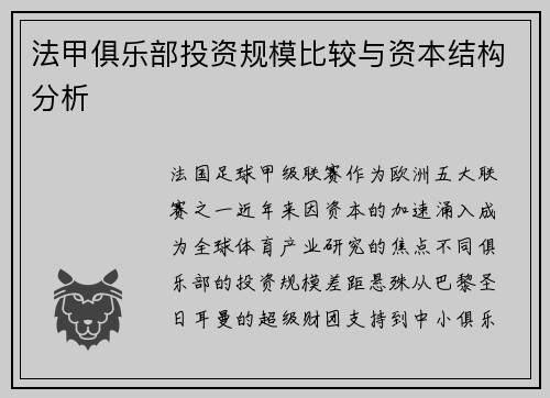 法甲俱乐部投资规模比较与资本结构分析